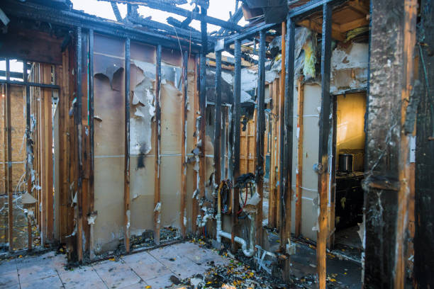 Professional Structural Rebuild technician working in Cashton, WI